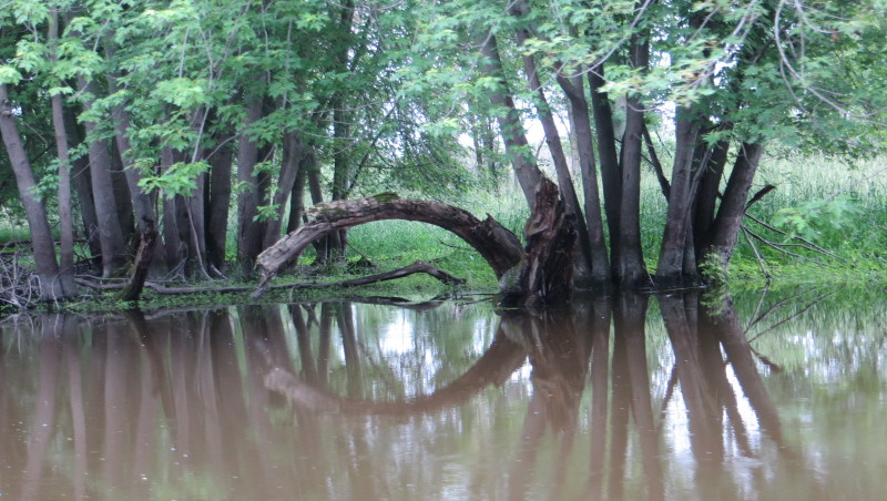 Burnt Village – Upstream and Back