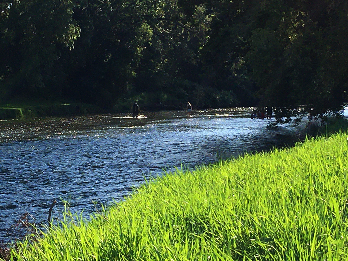 Creek wake ES.1 クリーク quiet mountain Creek wake ES.1 クリーク quiet mountain Creek wake ES.1