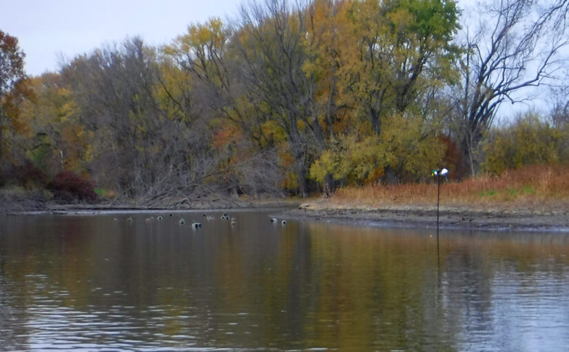 Duck hunting on Rock River