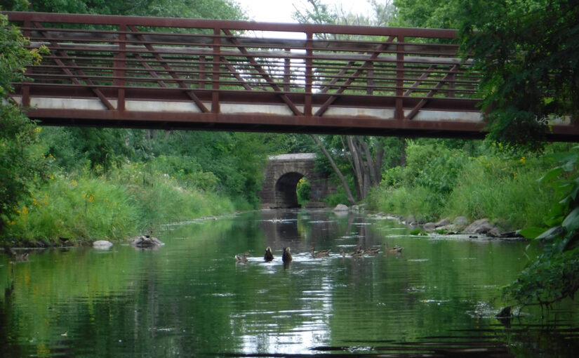 Pedestrian / bike bridge, Rail bridge and ducks bobbing