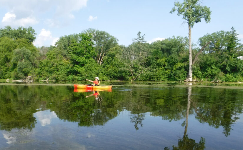 Jaeger Park to Fishcamp – Yahara River Heron Party 2023